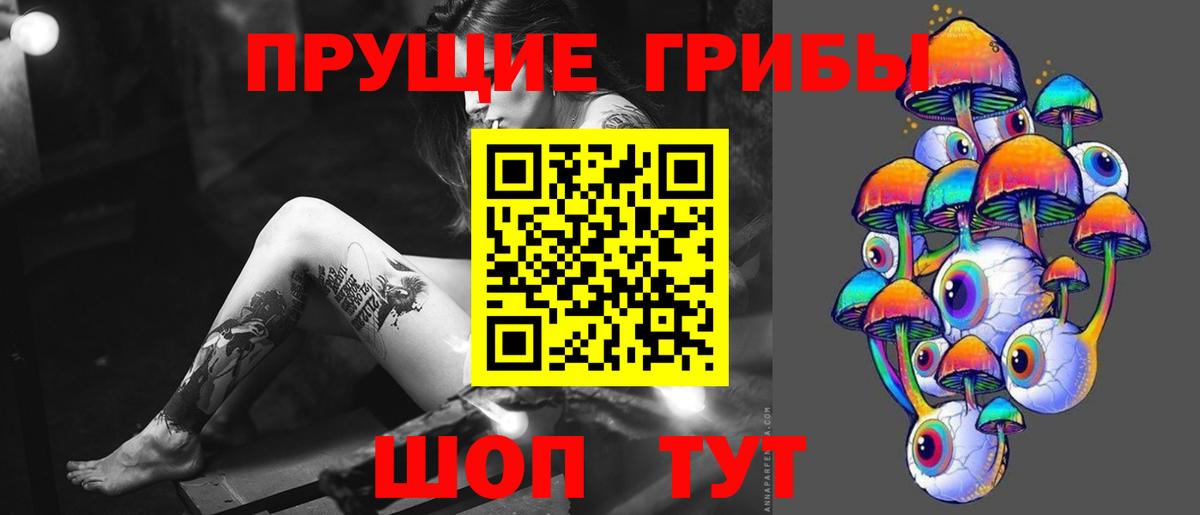 Грозный  Галлюциногенные грибы Psilocybine cubensis  Галлюциногенные грибы мицелий  магазин продажи   Вход с VPN 
