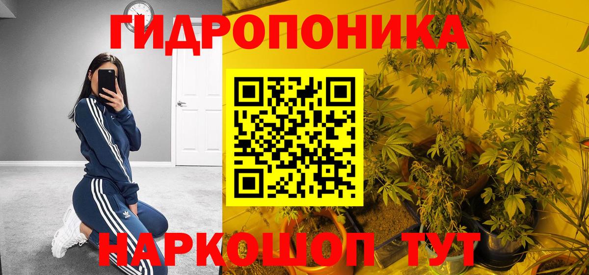 Бошки Шишки THC 21% Грозный